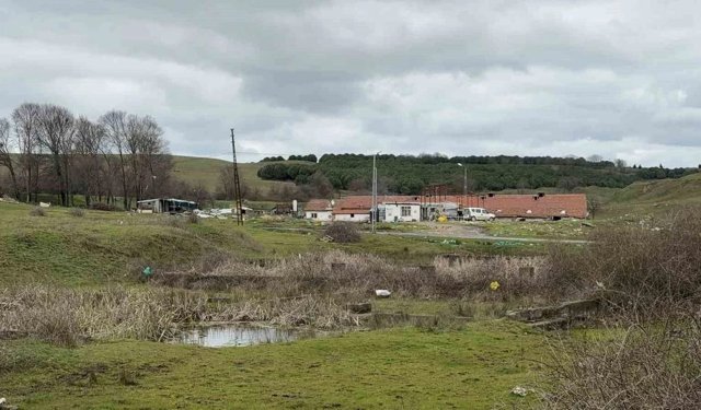 İstanbul'da tartışma sonrası elektrikli testereli saldırı! Boynunu deldi