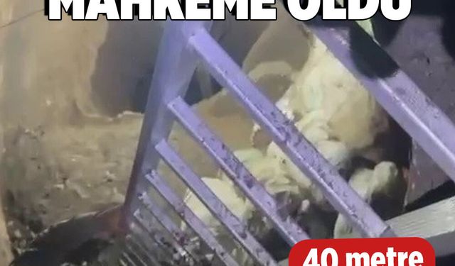 Hatay'da define hayali 40 metrelik kuyuda bitti!