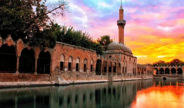 Kitap Kokusu Şehri Sardı: Kütüphaneler Gençlerin Yeni Adresi Oldu