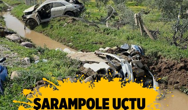 Şarampole uçtu, Tek çizik almadan kurtuldu