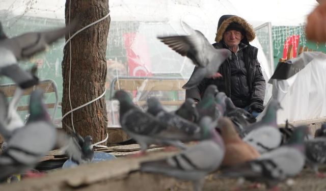 "Çocukların Kuşçu Dedesi" kuşlar için meydanı terk etmiyor