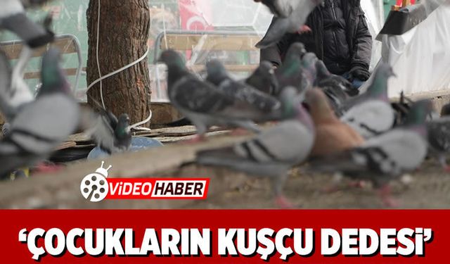 "Çocukların Kuşçu Dedesi" kuşlar için meydanı terk etmiyor