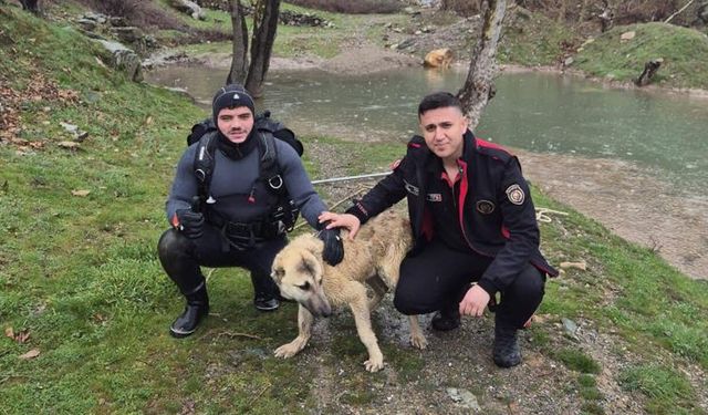 Kahramanmaraş’ta mahsur kalan köpeği itfaiye ekipleri kurtardı