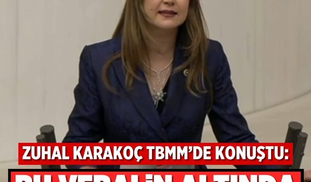 Zuhal Karakoç TBMM’de konuştu: “Bu vebalin altından kimse kalkamaz!”