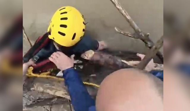 Rafting yaparken nehre düşen kadından acı haber geldi