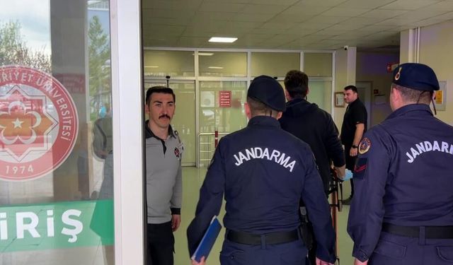 Komşu bostanına giren inek facia getirdi: Silahlar konuştu