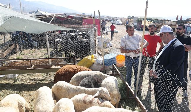 Dulkadiroğlu’nda Kurban Bayramı hazırlıkları tamamlandı