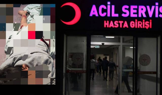 Van’da 5 sokak köpeği 11 yaşındaki çocuğa saldırdı!