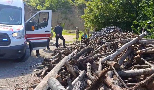 Eşini odunla döverek öldürdü, kaçtı