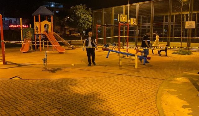 Parkta katliam gibi saldırı! 10 kişi saçmaların hedefi oldu