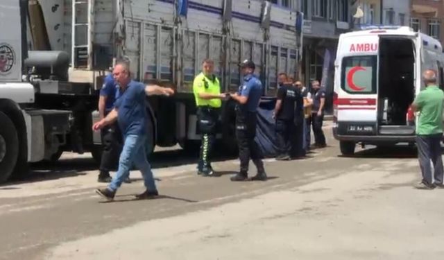 Sürücü vatandaşların uyarısıyla durdu! Tırın altında can verdi