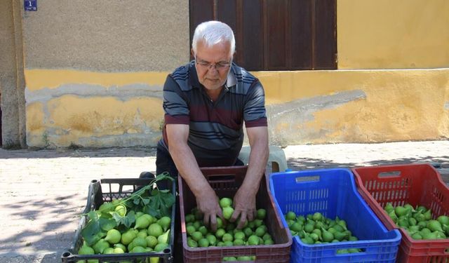 Cebinden 500 TL veren sıraya giriyor! Nedeni içindeki "Milyonlarca sinek"