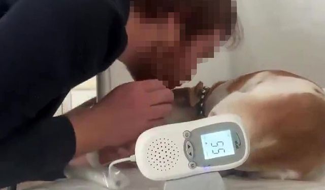 Elbistan’da aile hekiminin sosyal medya yorumları tepki çekti