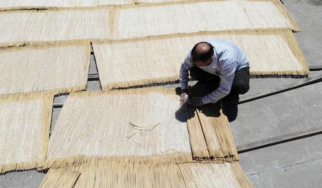 Kahramanmaraş'ta tarhana sezonu açıldı: Çığlar serildi!