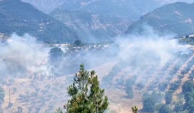 Kahramanmaraş Döngele Mahallesi'nde korkutan yangın
