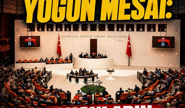 Meclis’te yoğun mesai: Milyonların gözü bu tekliflerde