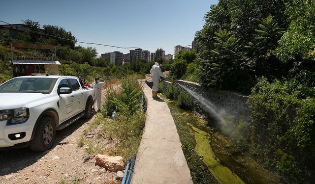 Kahramanmaraş’ta haşereyle mücadele hız kazandı