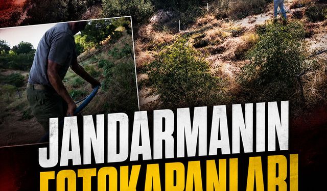 Jandarmanın fotokapanları suçlulara geçit vermedi