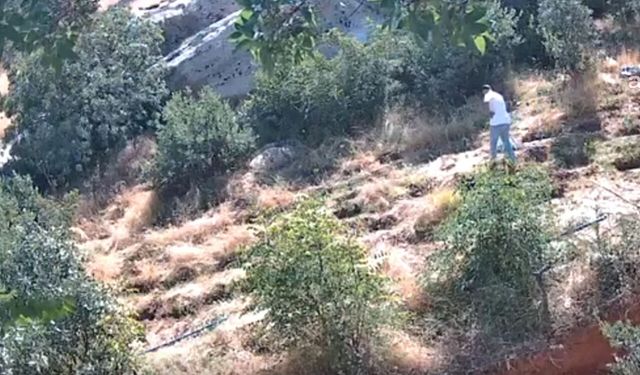 Jandarmanın fotokapanları suçlulara geçit vermedi