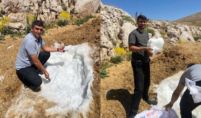 Kahramanmaraş’ta sıcaklara karşı 'Atadan Kalma' yöntem: Buzdolabı yerine toprağı kullanıyorlar
