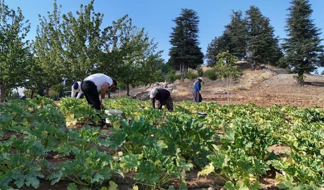KAHRAMANMARAŞ