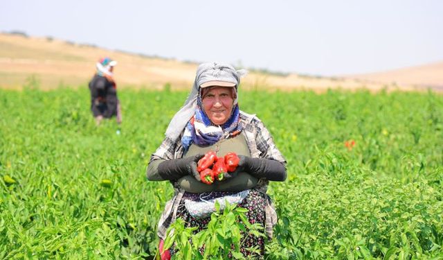KAHRAMANMARAŞ