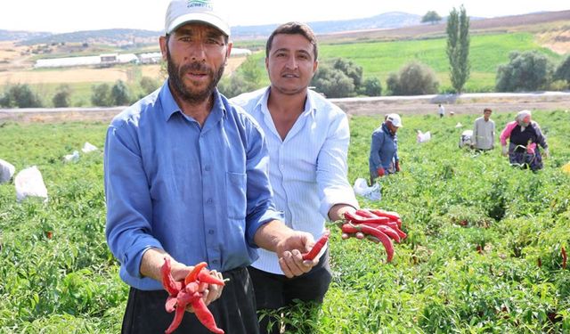 KAHRAMANMARAŞ