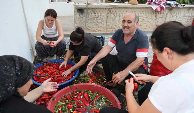 800 kilo biber için türküler eşliğinde salça mesaisi!