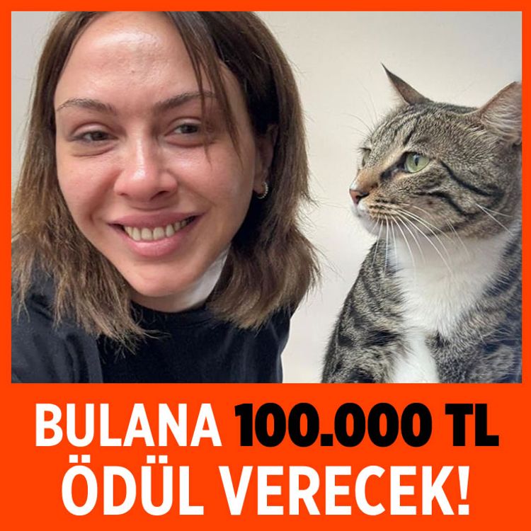 Kayıp kedisini bulana 100 bin lira ödül verecek