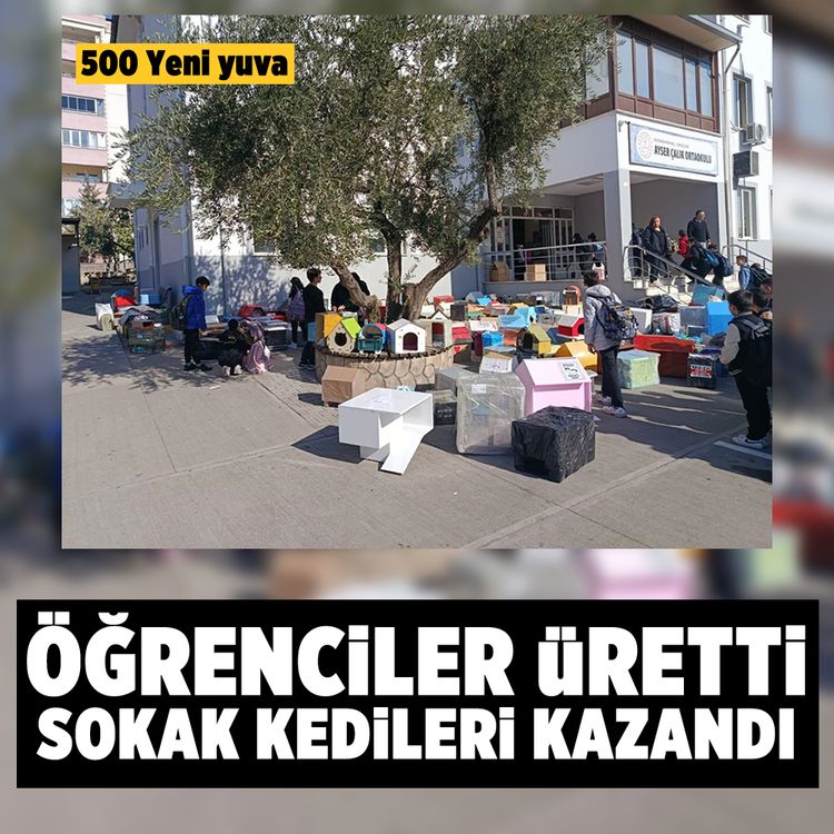 Öğrenciler üretti sokak kedileri kazandı