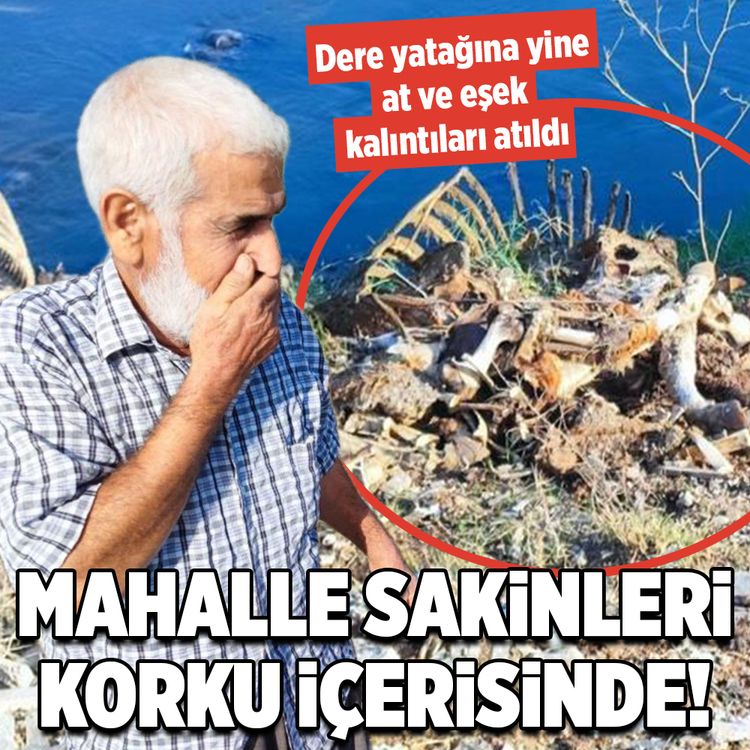 Adana’da dere yatağına yine at ve eşek kalıntıları atıldı: Mahalle sakinleri tepki gösterdi