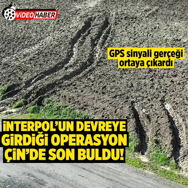 İstanbul’daki cinayet dosyasına İnterpol müdahalesi