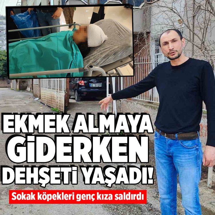 Adana’da ekmek almaya giderken sokak köpeklerinin saldırısına uğrayan genç kız yaralandı