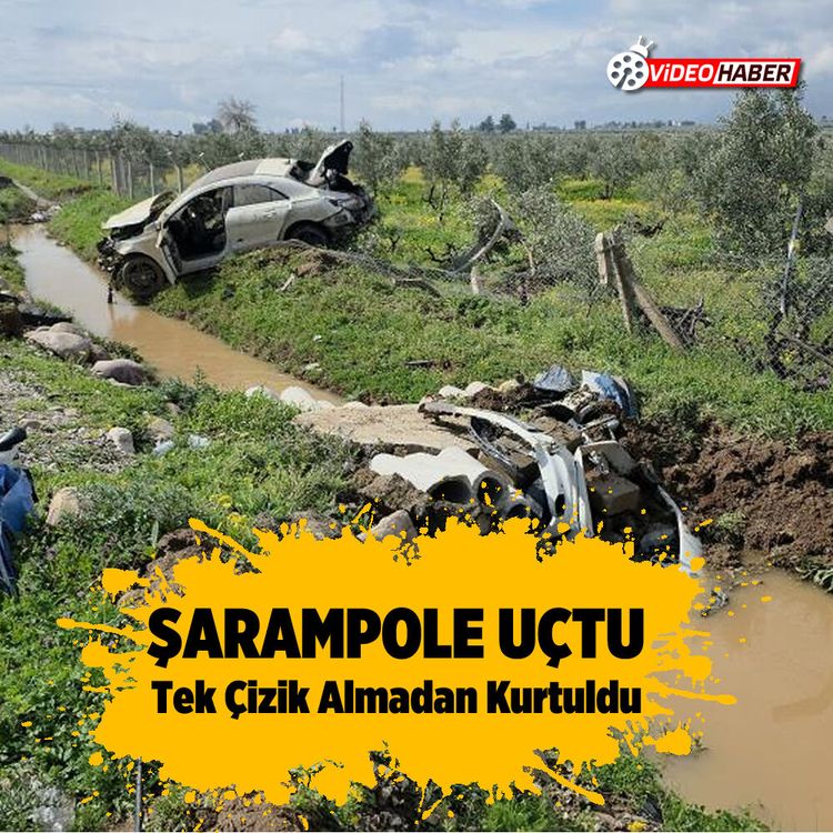 Şarampole uçtu, Tek çizik almadan kurtuldu