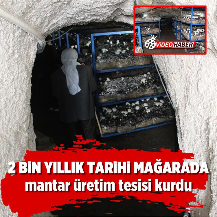 2 bin yıllık tarihi mağarada mantar üretim tesisi kurdu