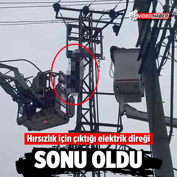 Hırsızlık için çıktığı elektrik direği sonu oldu