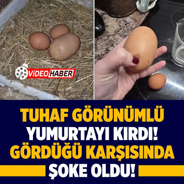 Tuhaf görünümlü yumurtayı kırdı, gördüğü karşısında şoke oldu