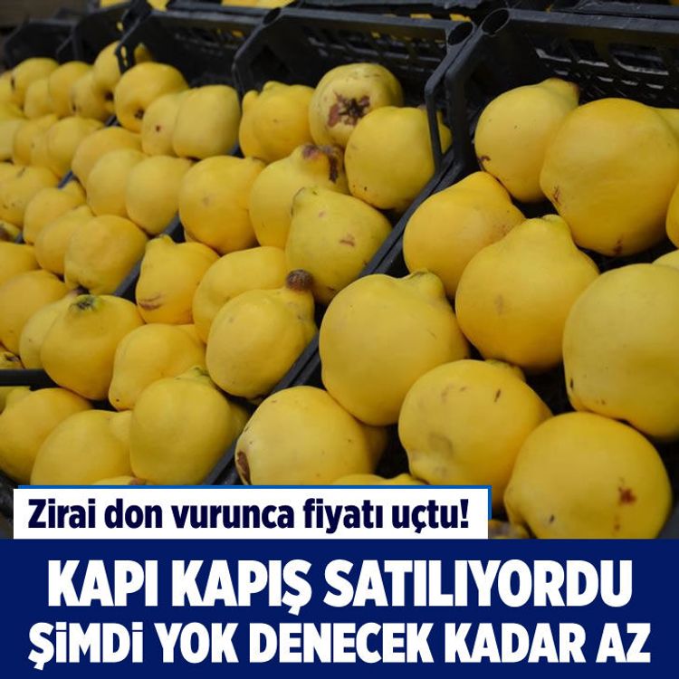 Kapış kapış satılıyordu, şimdi yok denecek kadar az! Zirai don vurunca fiyatı uçtu