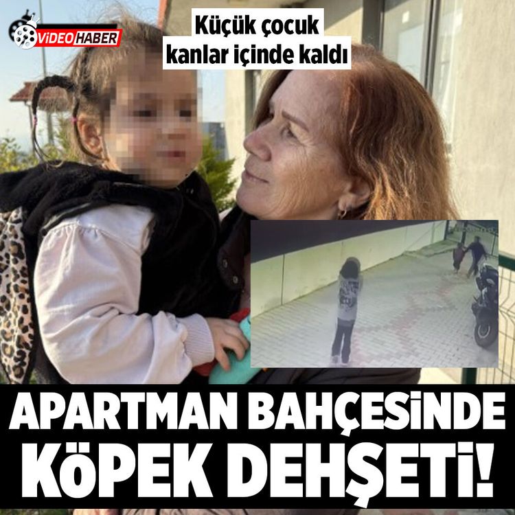 İzmir’de köpek dehşeti! 3 yaşındaki Ada’nın yüzü pençe ve ısırıkla dolu