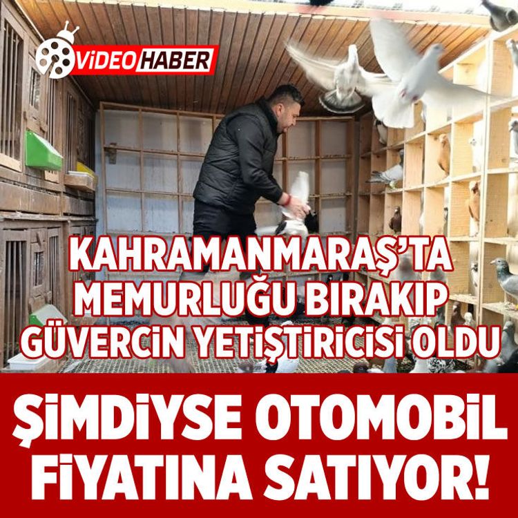 Kahramanmaraş'ta memurluğu bıraktı, güvercinlerden servet kazanıyor!