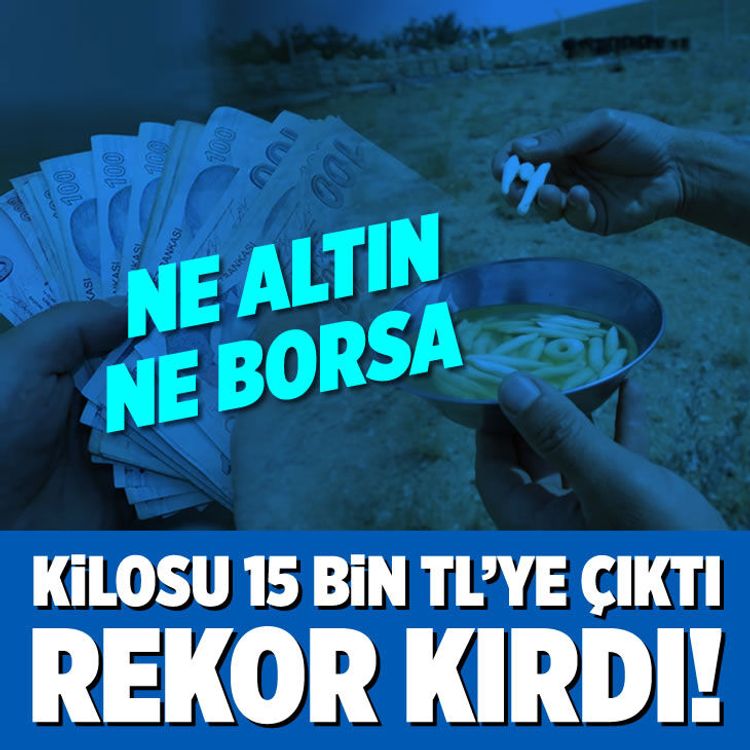 Kilosu 15 bin TL olan dağ sakızı rekor kırdı