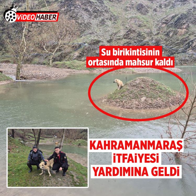 Kahramanmaraş’ta mahsur kalan köpeği itfaiye ekipleri kurtardı