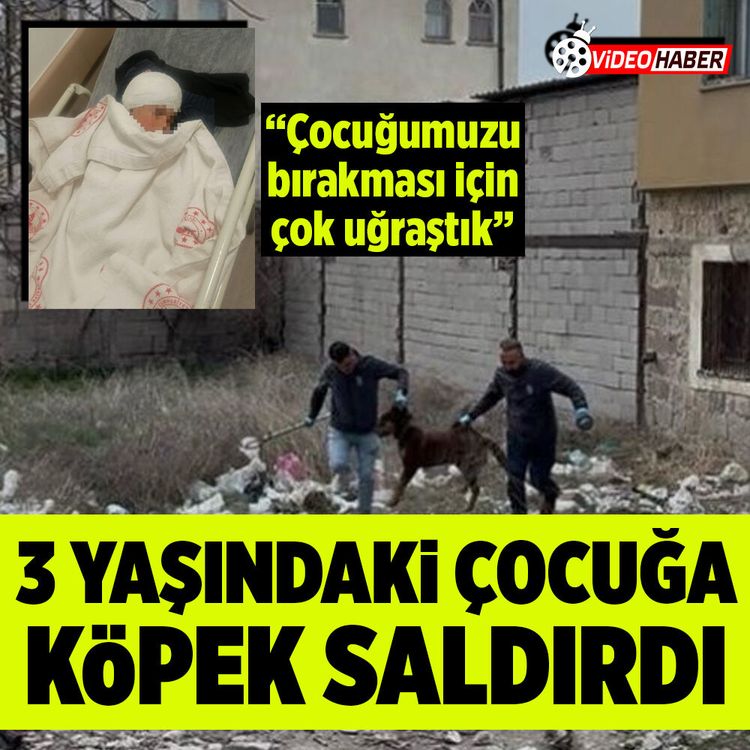 Kayseri’de 3 yaşındaki çocuğuna köpek saldıran baba: "Köpeğin çocuğumuzu bırakması için çok uğraştık"