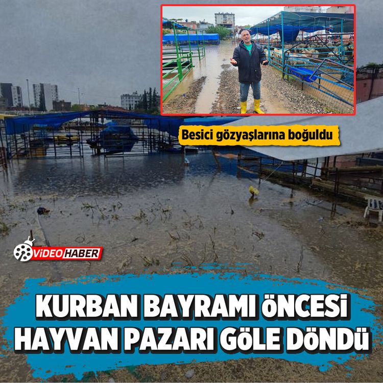 Kurban Bayramı öncesi hayvan pazarı göle döndü