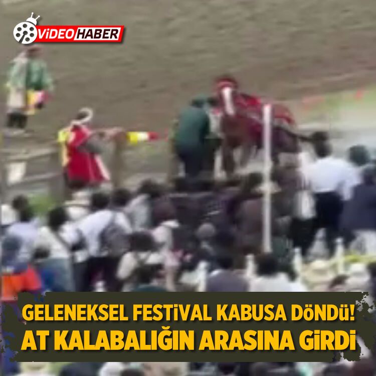 Geleneksel festival kabusa döndü! At kalabalığın arasına girdi