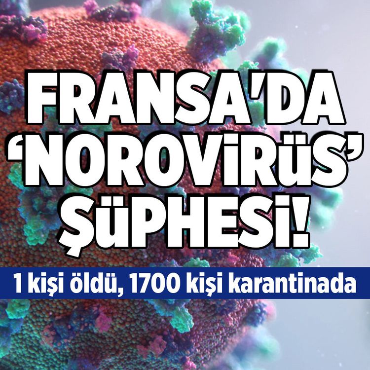 Fransa'da kruvaziyer gemisinde 'norovirüs' şüphesi!