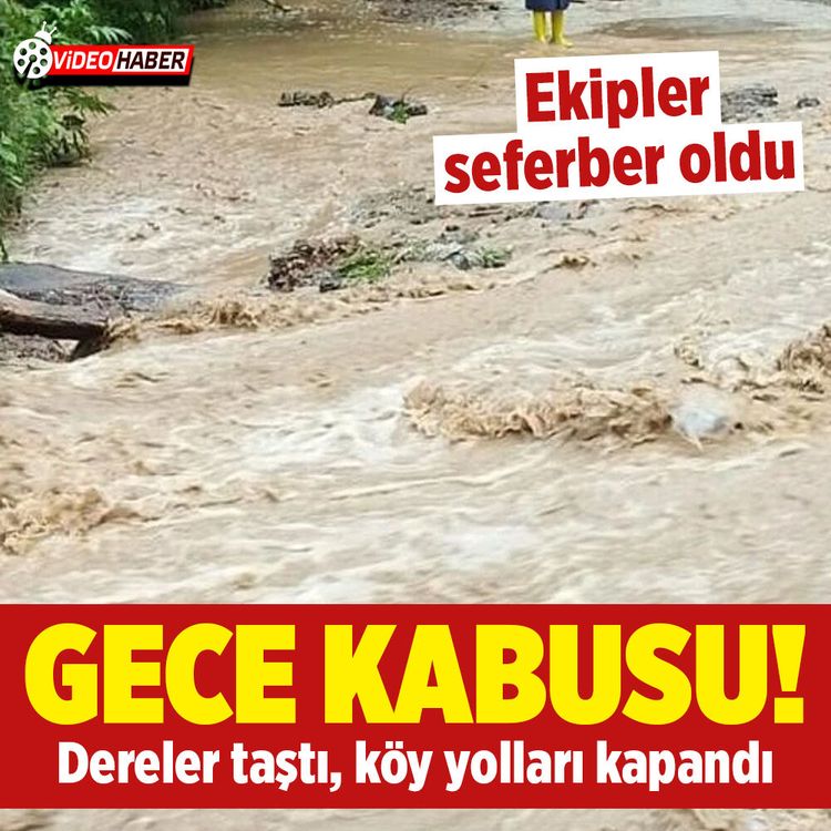 Artvin’de gece kabusu: Borçka’da dereler taştı, köy yolları kapandı
