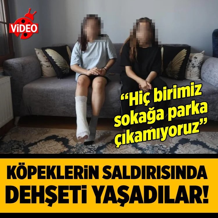 Köpeklerin saldırısında kabusu yaşayan kardeşlerin biri yaralandı, diğerindeyse kafa sallama travması oluştu