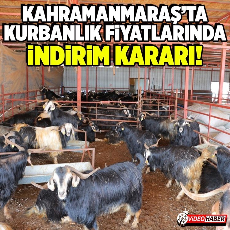 Kahramanmaraş’ta kurbanlık fiyatlarında indirim kararı!