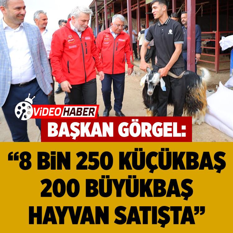 Başkan Görgel: "8 bin 250 küçükbaş, 200 büyükbaş hayvan satışta"